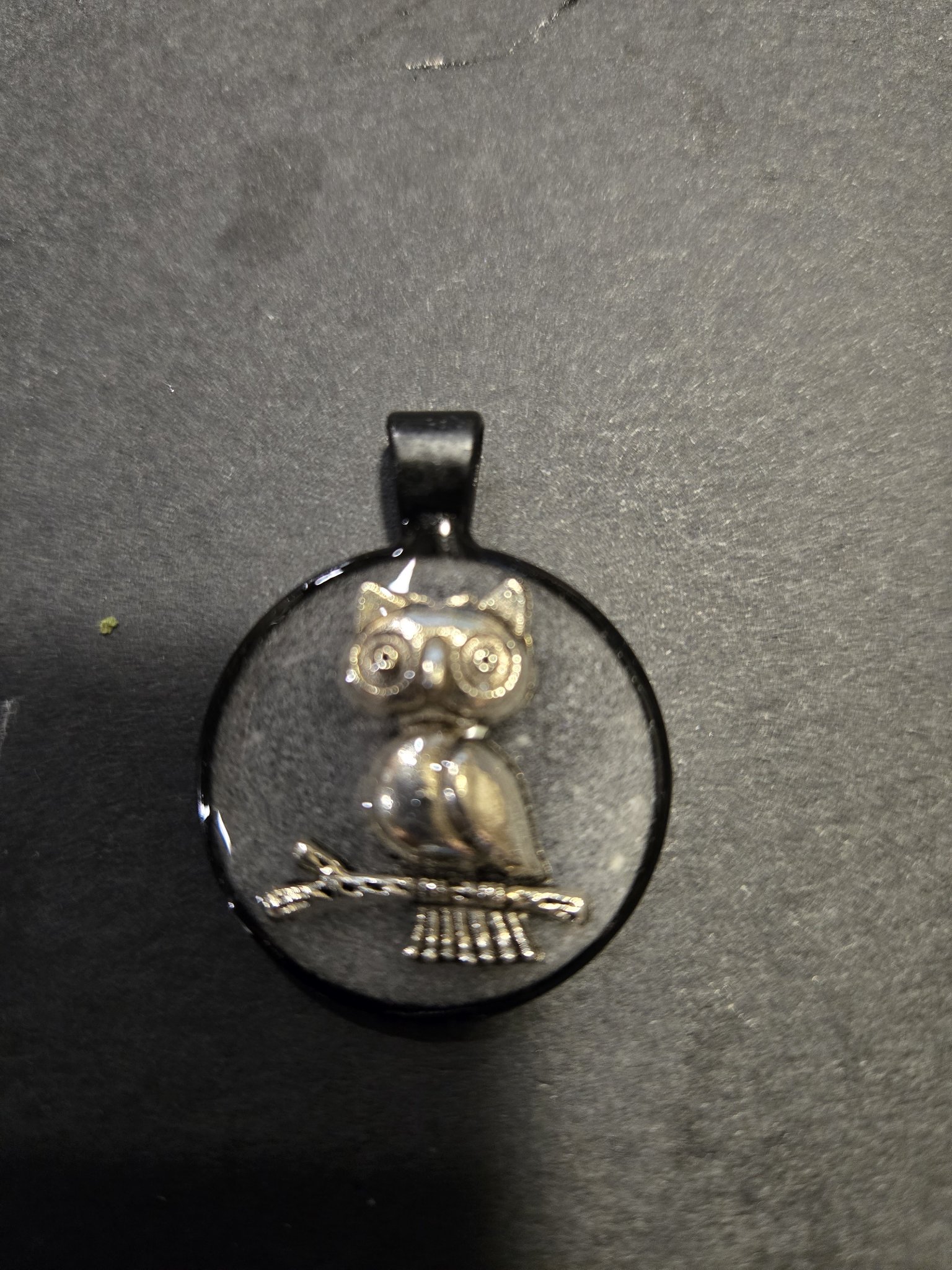 Clear resin owl pendant with a silver-tone owl perched on a branch, set in a black metal frame